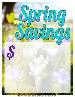 Sale Tags (Pk of 100): Spring Savings 1