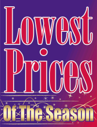 Vinyl Window Sign: Lowest Prices Of The Season